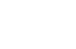 Team Thai logo